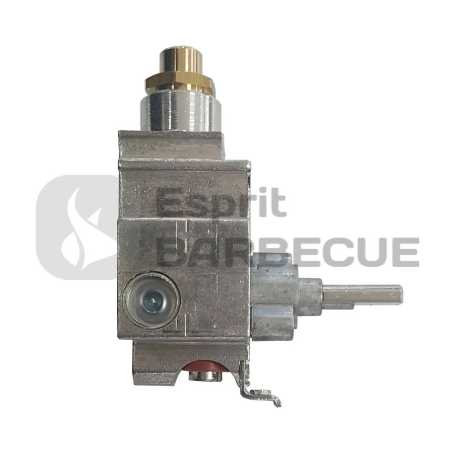 Brûleur Raquette Pour Plancha Prestige - Forge Adour 1 Brûleur Raquette Pour Plancha Prestige - Forge Adour