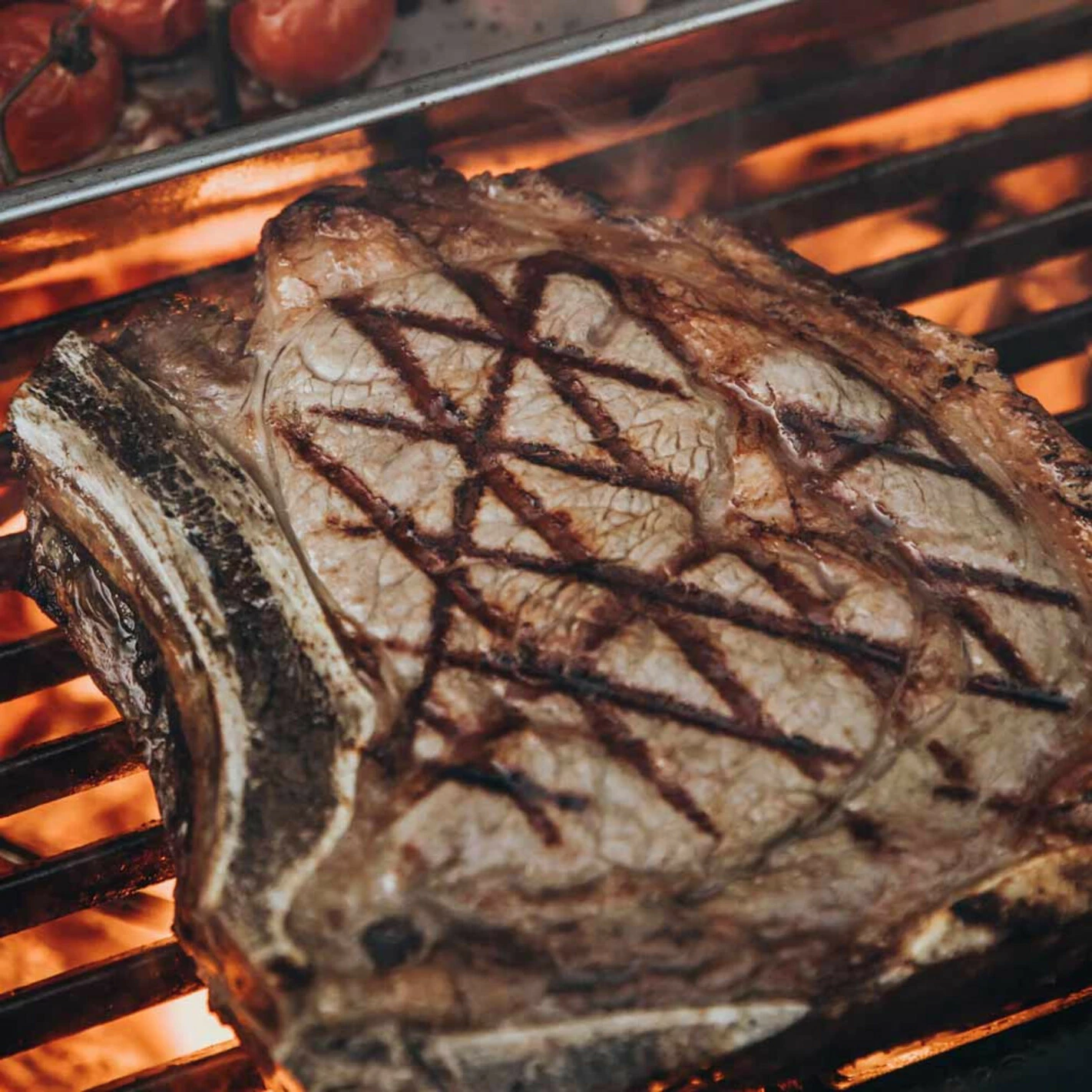 Demi Grille Fonte CLASSIC - Monolith* 4 Demi Grille Fonte CLASSIC - Monolith* – Image 4