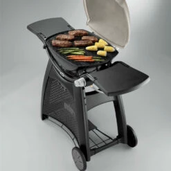 Grille De Cuisson Fonte émaillée Q300/Q3000 - Weber -OUTDOORCHEF Boutique grille de cuisson pour q300 barbecue a gaz weber 0077924038853 3